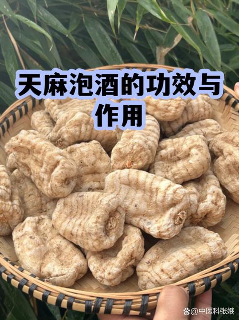 养生酒：品味健康的新风尚